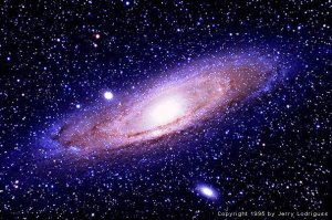 Cofradía Nostica Rudimentos