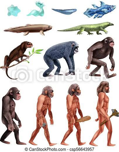 Necia Realidad City Religión Científica