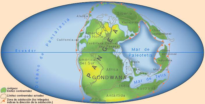 Religión Científica gondwuana pangea Latina 