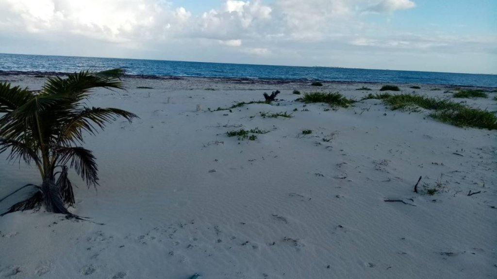 Anuncios Parroquiales 